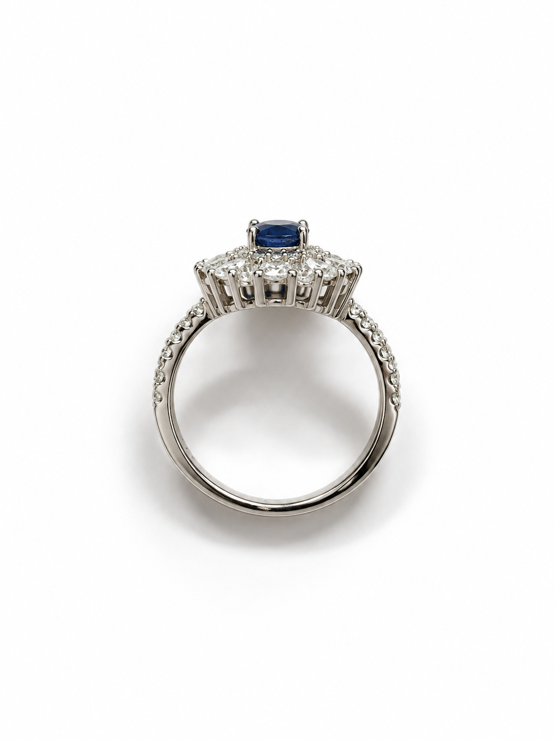 Anillo Rigel